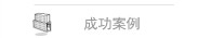 成功案例