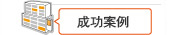 成功案例